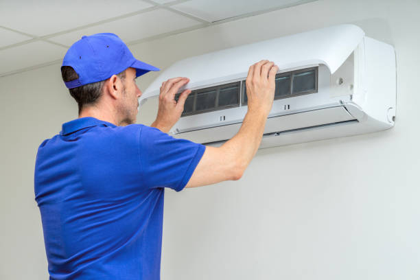 Air Duct Mold Removal in Pleasant Hill, TX